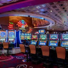 tk444 live casino cards showing dealer tables and game controls